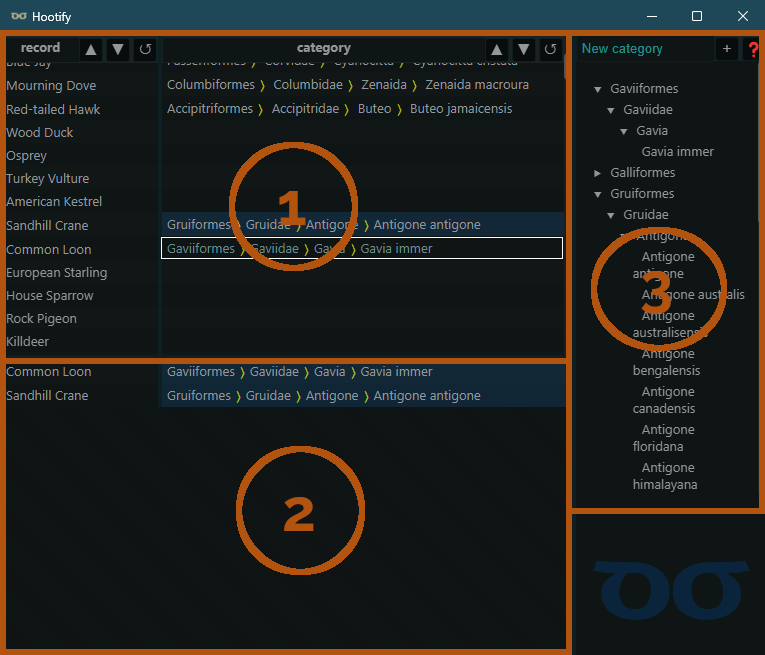 Hootify screenshot